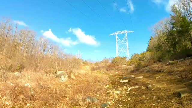 UpNorth [Just nature] Among the Power Lines