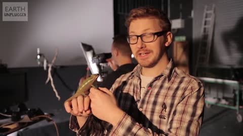 Shooting Chameleon Tongue in Super Slow Motion | BBC Earth