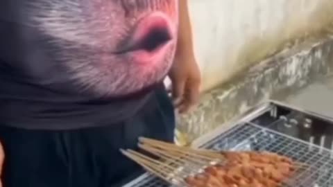 Animal funny videos