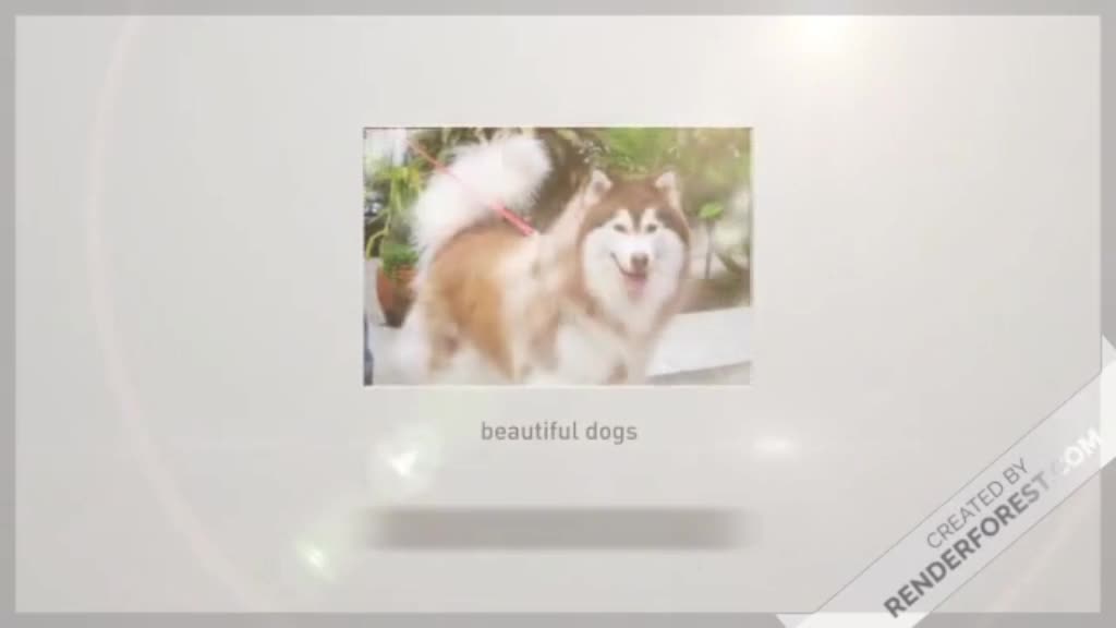 Amazing dog playing with itselfAmazing dog playing with itself