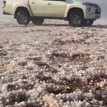 Meanwhile in Saudi Arabia