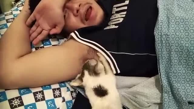 my cat sucks me