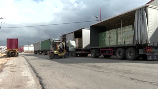 Gazans scramble for food days after aid trucks were looted