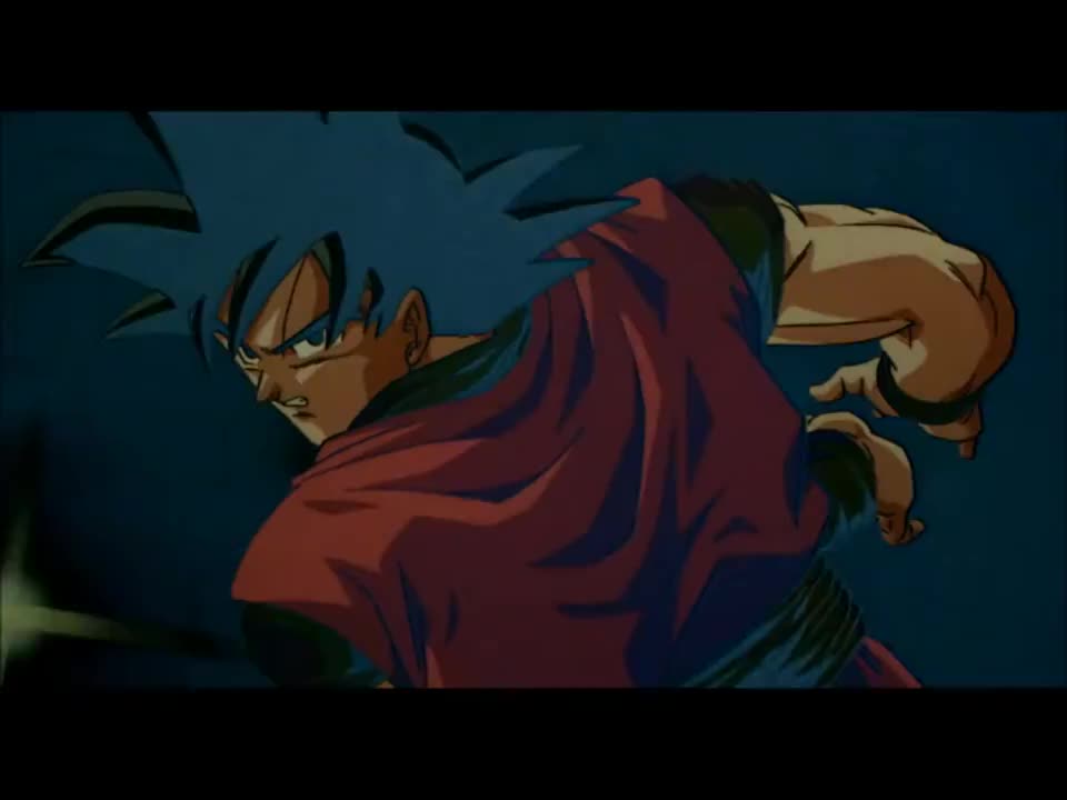 Dragon Ball Z Wrath of the Dragon