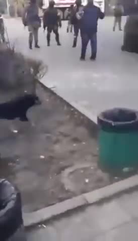 The occupiers disperse a rally of civilians in Skadovsk in the Kherson region