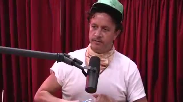 Pauly Shore - When Pauly Met Trump