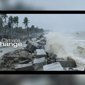 The Climate Revolution: Planting One Tree for Humanity