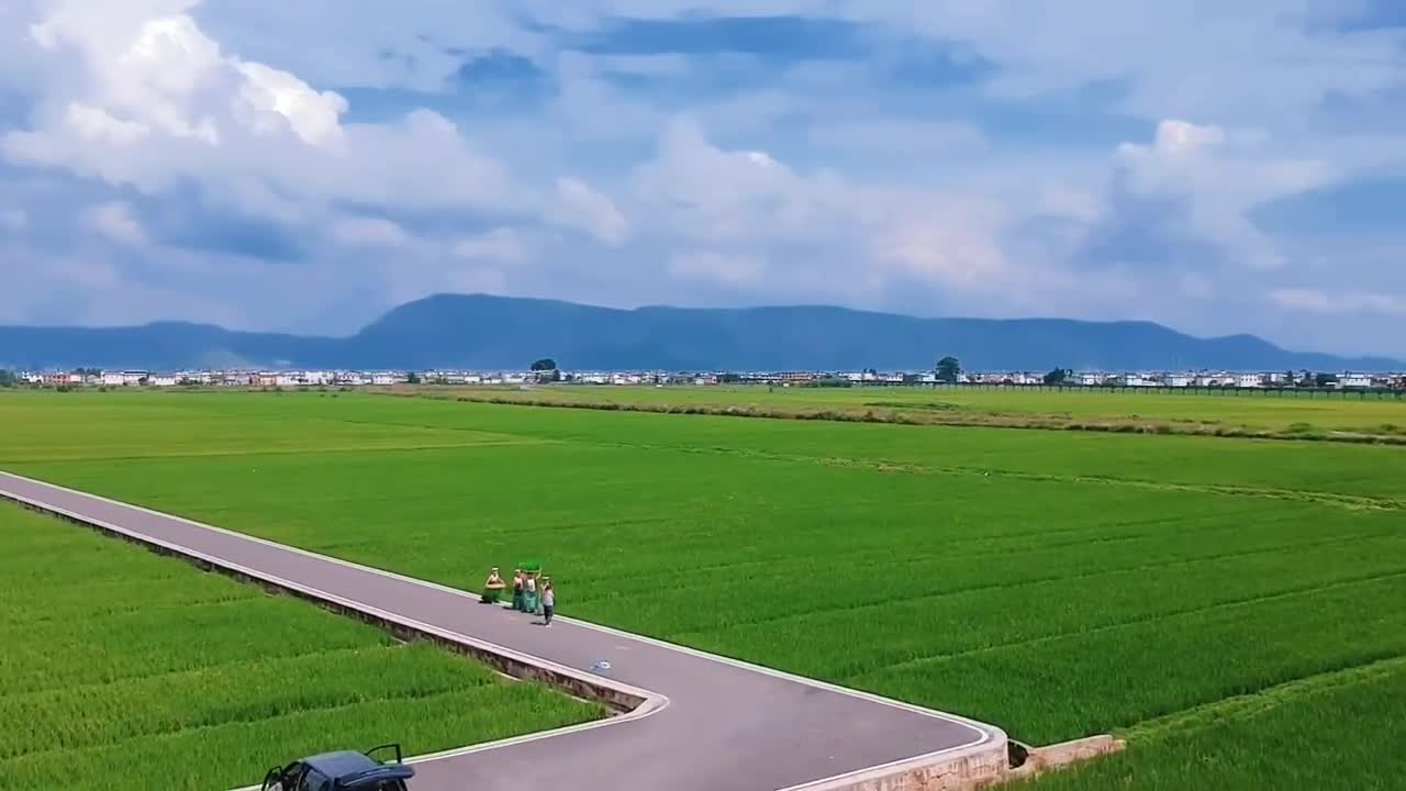 Healing Landscape: Beautiful Grassland