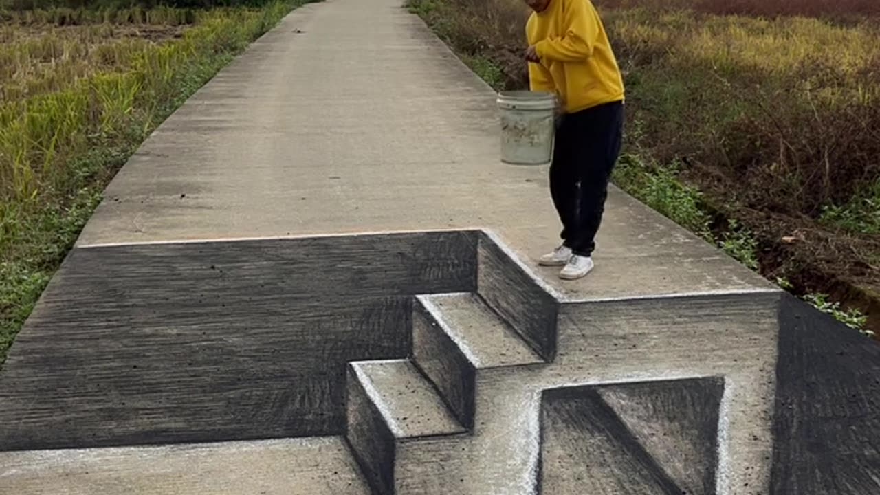 PAINTING OR REAL VIDEOS