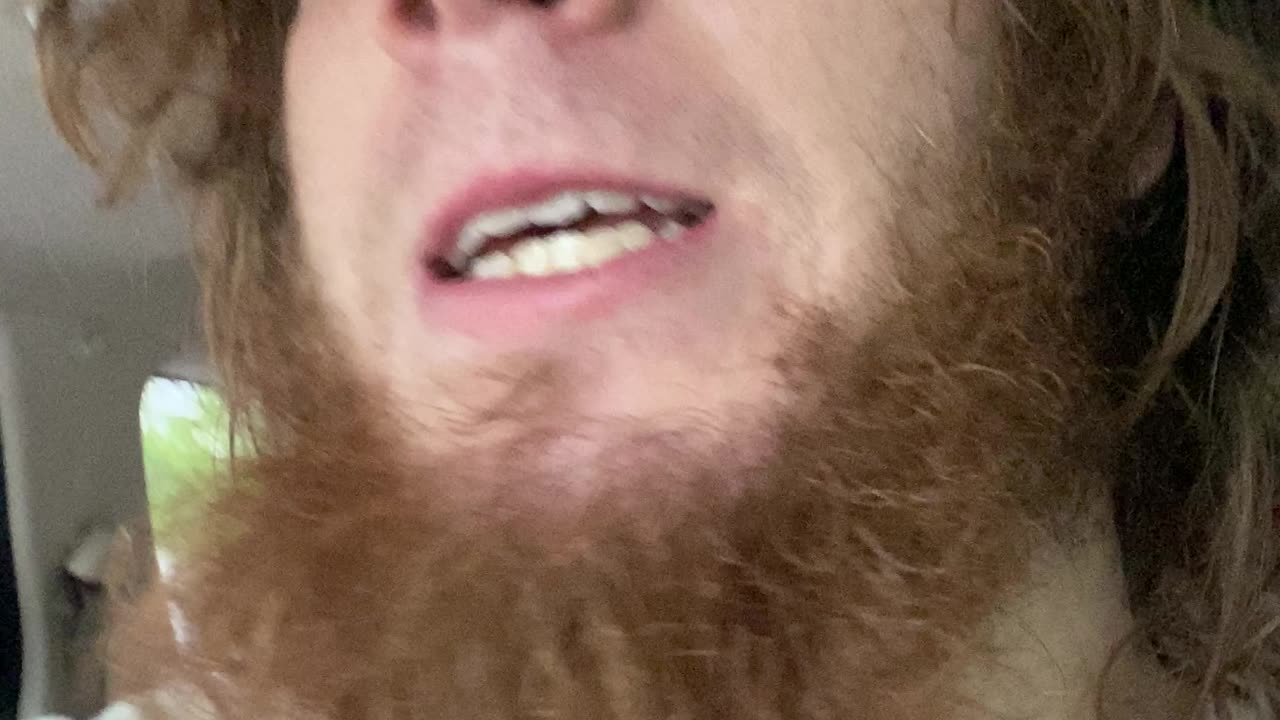 find the bootie within