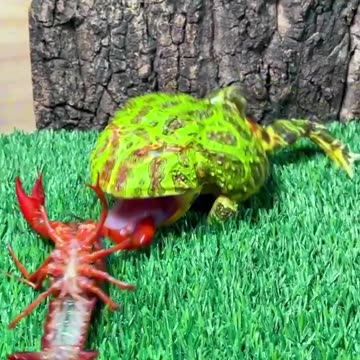 It makes your mouth so hungry and your mouth hurts.