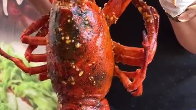 Great lobster