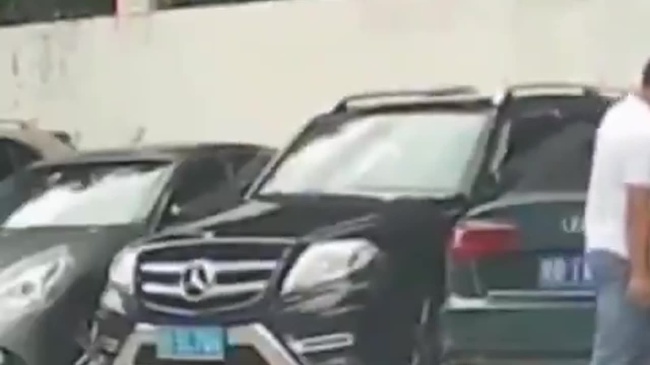 Lesson Learned By A Cat