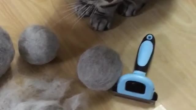 Make cat balls from cat fur