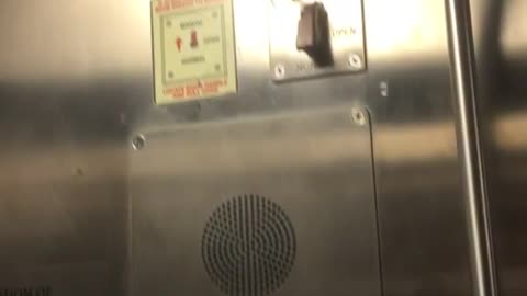 Bug near manual button subway train door