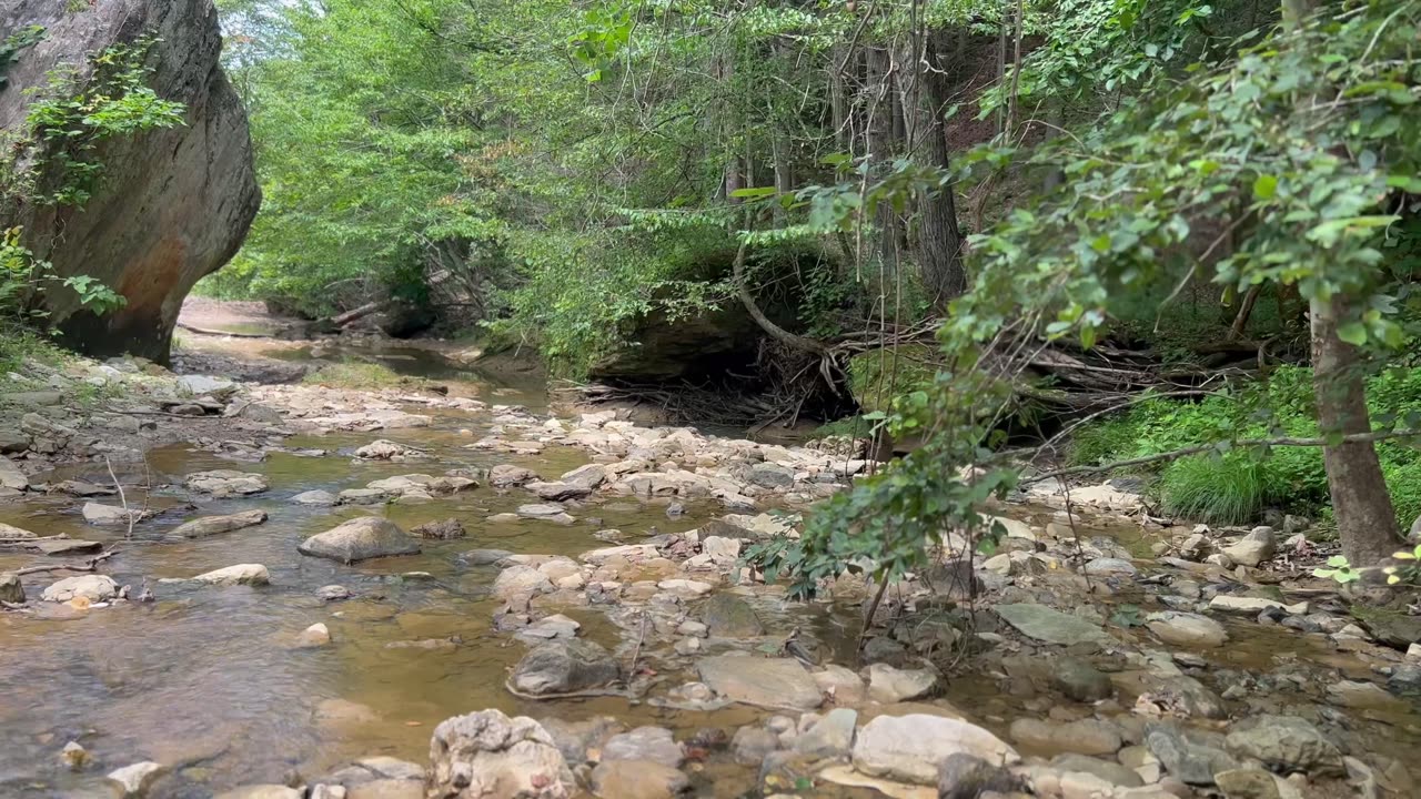 Creek in Daniel Boone