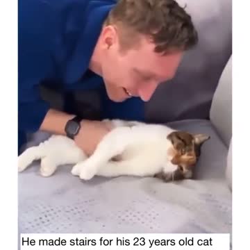 This cat is verry old