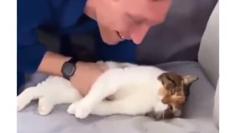 This cat is verry old