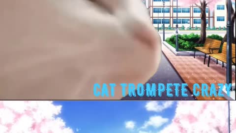 CAT TROMPETE CRAZY
