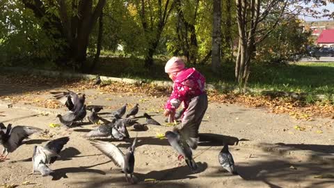 Toddler feeding pigeons in the park