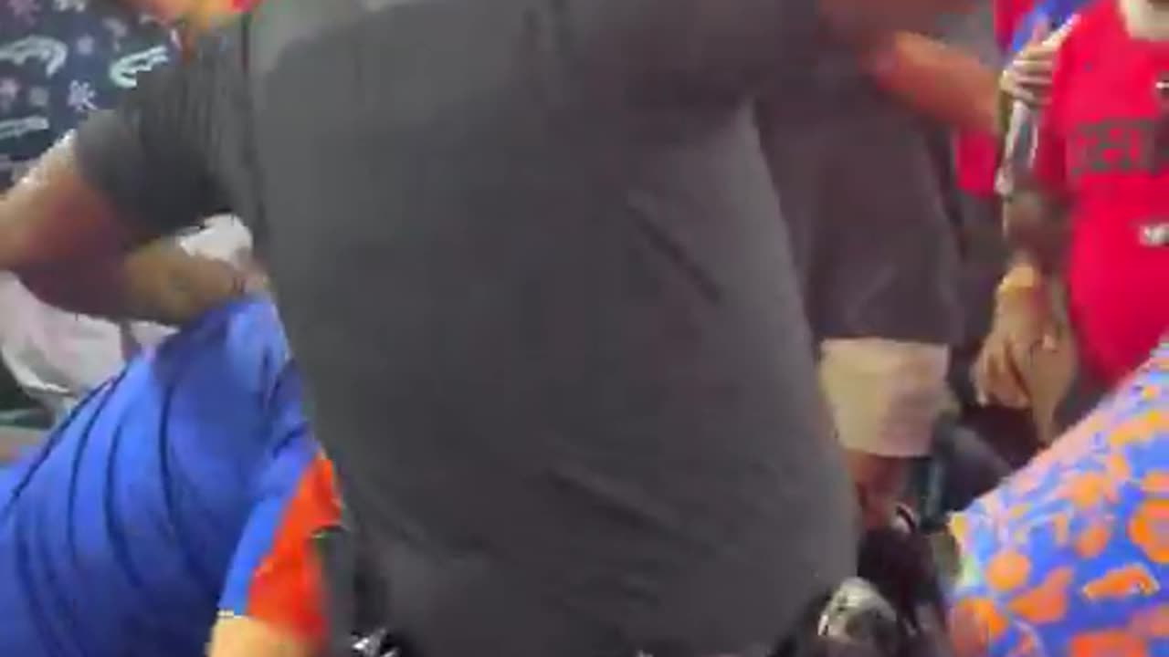 Fight breaks out between fans and police officers at the Florida Gators vs. Georgia Bulldogs game