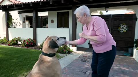 Doggy love moment grandma cute