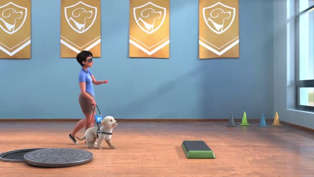 Paul van dyk funny videos