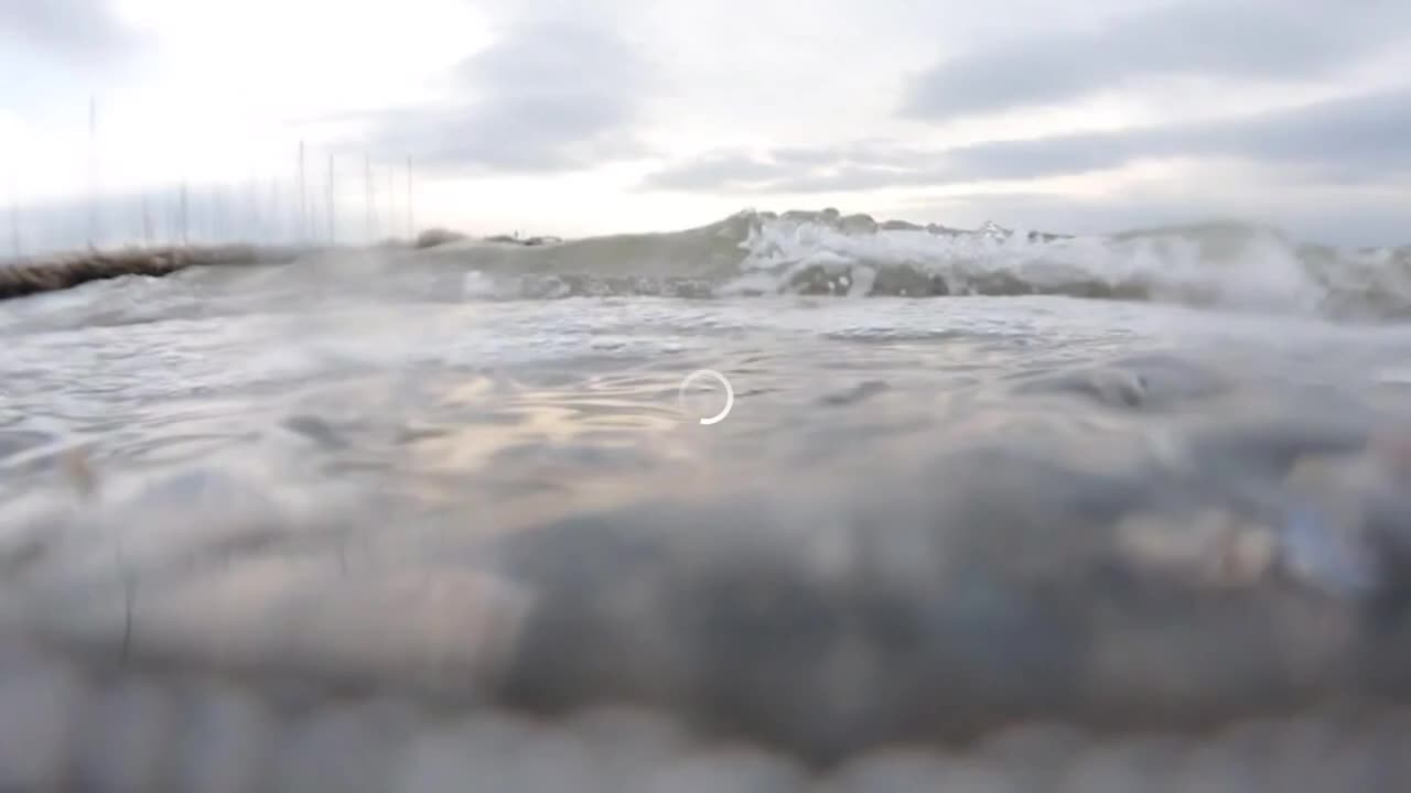 Explainer – Explainer_ Hvad kvæler livet i havet ?