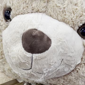 Huge bear in Canada tire