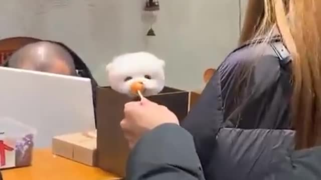 Best Funny Videos - Funny Compilation Happen Unexpectedly 😂🤣#192