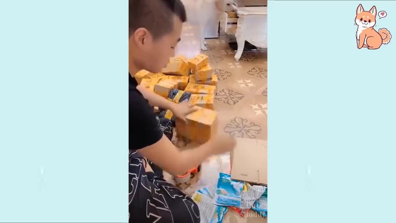 Cute Puppies /Cute Funny and Smart Dogs Compilation