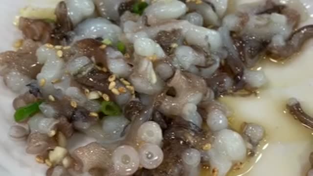Korean sashimi and live octopus