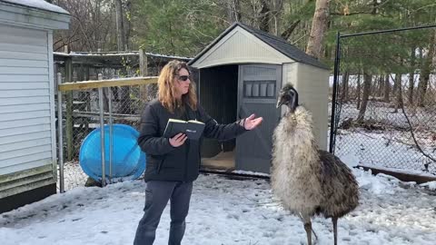 Uplifting word with an emu