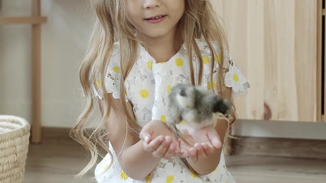 The child holding the chicks in his hand