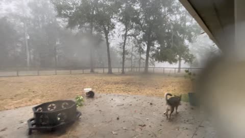 Wild Weather In Texas