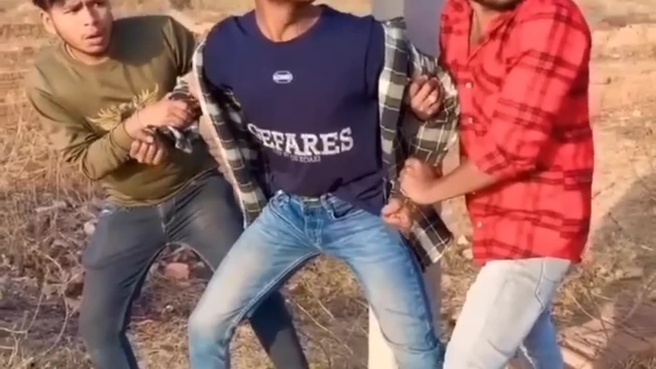 Funny videos