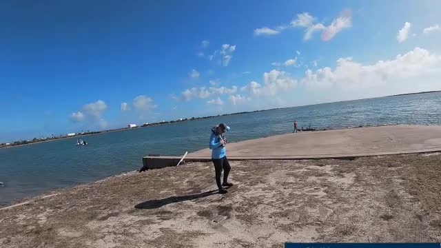 Dolphins swim near at NAS Corpus Christi 18JAN21