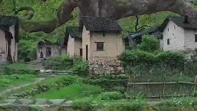 Seems like a cozy place