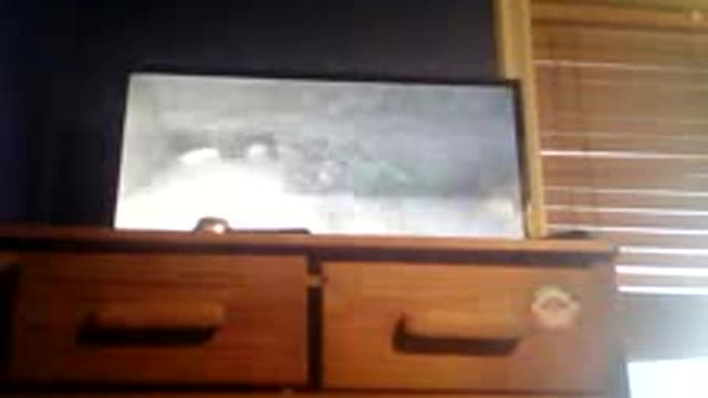 Minecraft ps3 realms amp s1 pt3