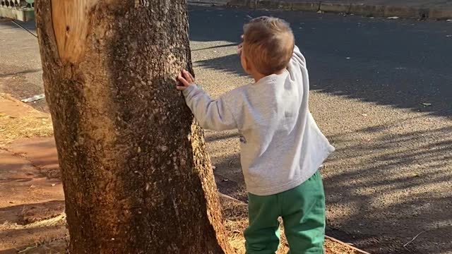 Cute Kid Waves at Garbage Collectors