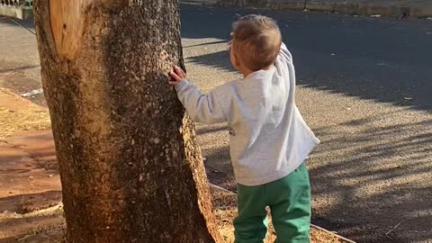 Cute Kid Waves at Garbage Collectors
