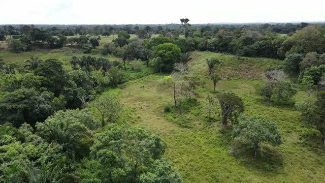 Llanos Orientales, Colombia in 4k