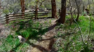 04-18-20 Part 2 - Ride with Marcie towards Gateway, CO.