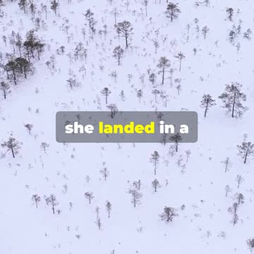 A flight attendant who miraculously survived a 33,000 Feet fall from an airplane , Bizarre but true