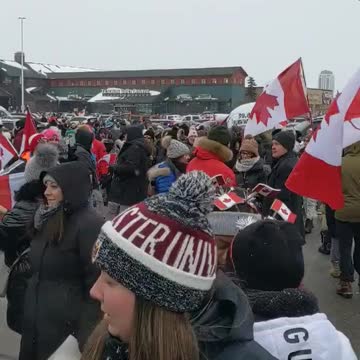 Freedom is in the air