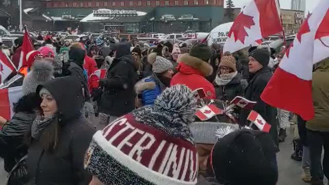 Freedom is in the air