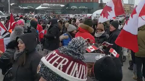 Freedom is in the air