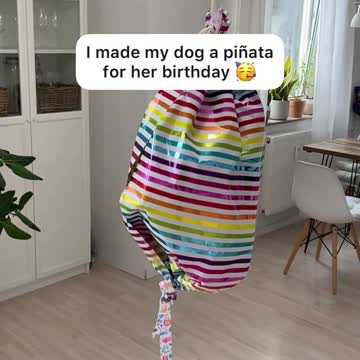 Best birthday idea 😍