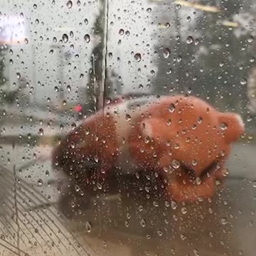 Giant Inflatable Mascot Struggles To Get Up After Rainstorm Destroys Him