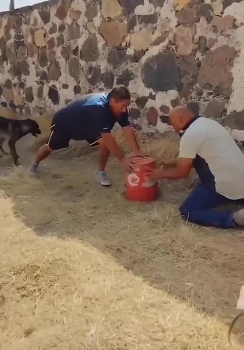 Played a prank on a friend